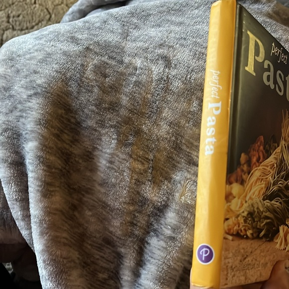 Perfect Pasta - Picture 3 of 6